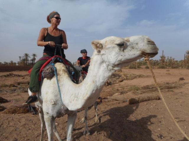 Hotel Carrefour Des Nomades M'Hamid Esterno foto